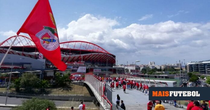 Eusébio Cup não vai realizar-se nesta pré-época: as razões