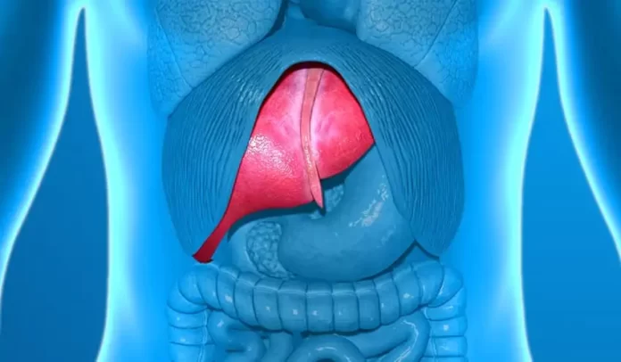 Manejo das complicações relacionadas à cirrose hepática