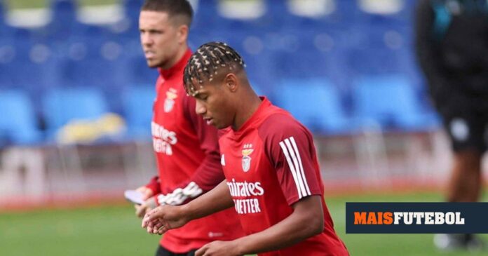 Schmidt elogia Jurasék e explica ausência de Neres