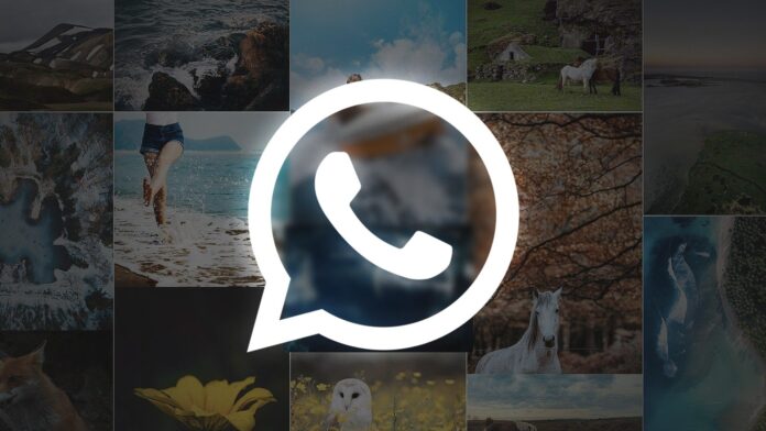 TC Ensina: como enviar fotos em alta qualidade através do WhatsApp