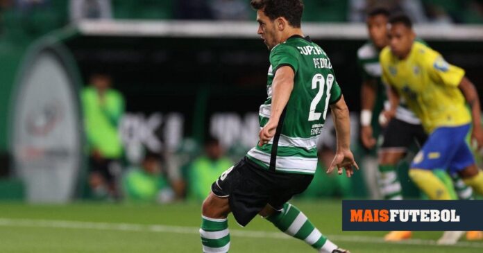 Sporting-Arouca: os onzes prováveis para o jogo de Alvalade