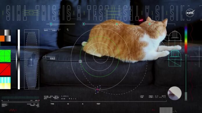 Vídeo de gato em alta resolução é transmitido pela Nasa do ‘espaço profundo’ para a Terra; veja