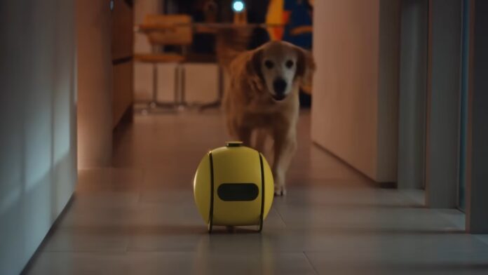 CES 2024: Vídeo apresenta o Samsung Ballie, robô com IA que anda pela casa; veja