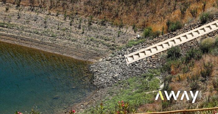 Seca: falta de água no Algarve põe em causa agricultura