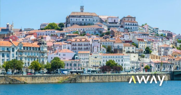 Metro Mondego planta 608 árvores em Coimbra