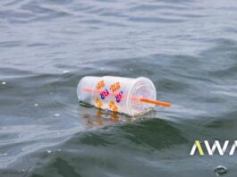 Perto de 6 milhões de toneladas de plástico acabaram no mar este ano