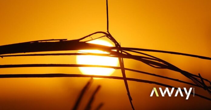 Clima: novo recorde mensal de calor em junho. É o 13.º consecutivo