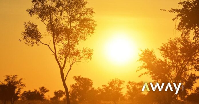 Calor coloca cerca de 50 concelhos em perigo máximo de incêndio