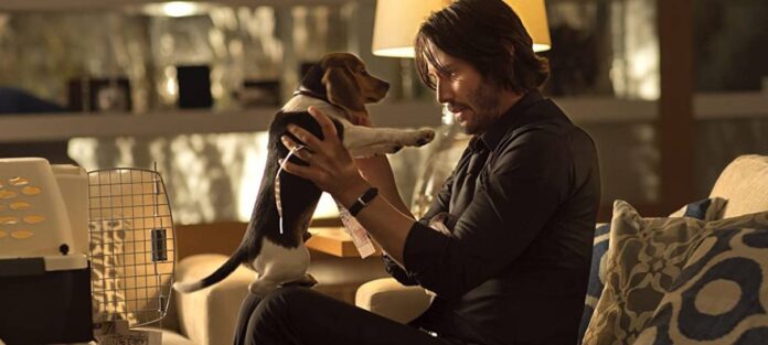 Diretor de John Wick lembra que estúdio tentou vetar morte do doguinho