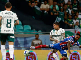 Palmeiras encara jejum de 7 anos contra o Bahia no Brasileirão