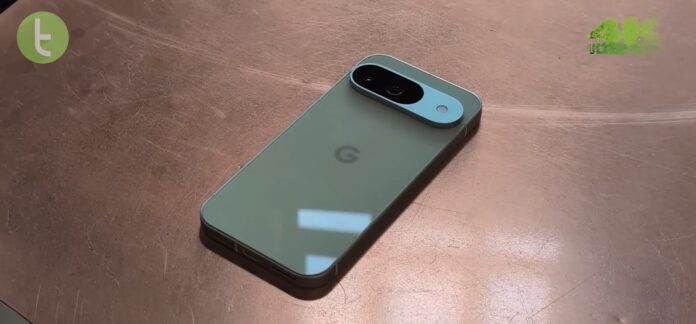 Google aumenta participação no mercado de celulares com os Pixel, indica levantamento