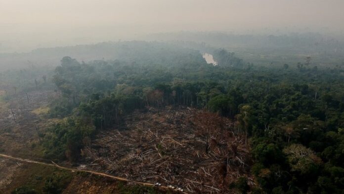 Crimes ambientais na Amazônia Legal aumentam 88%