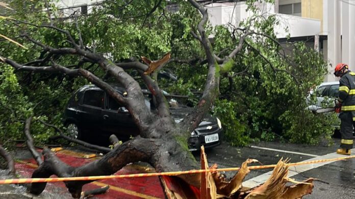 Previsão indica temporais no fim da tarde em São Paulo